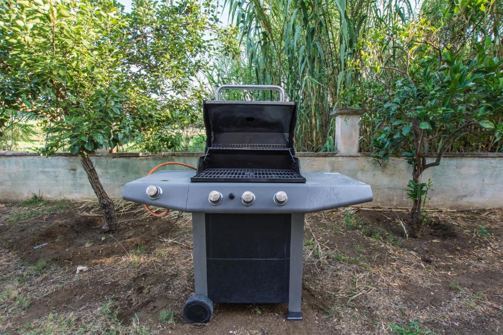 Garden barbecue